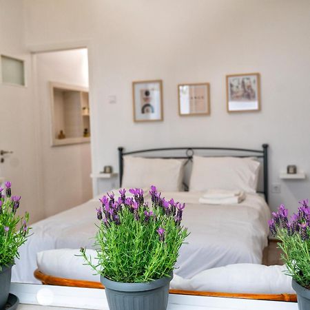 Lux Garden Apartment Near Acropolis In The Heart Of Афіни Екстер'єр фото