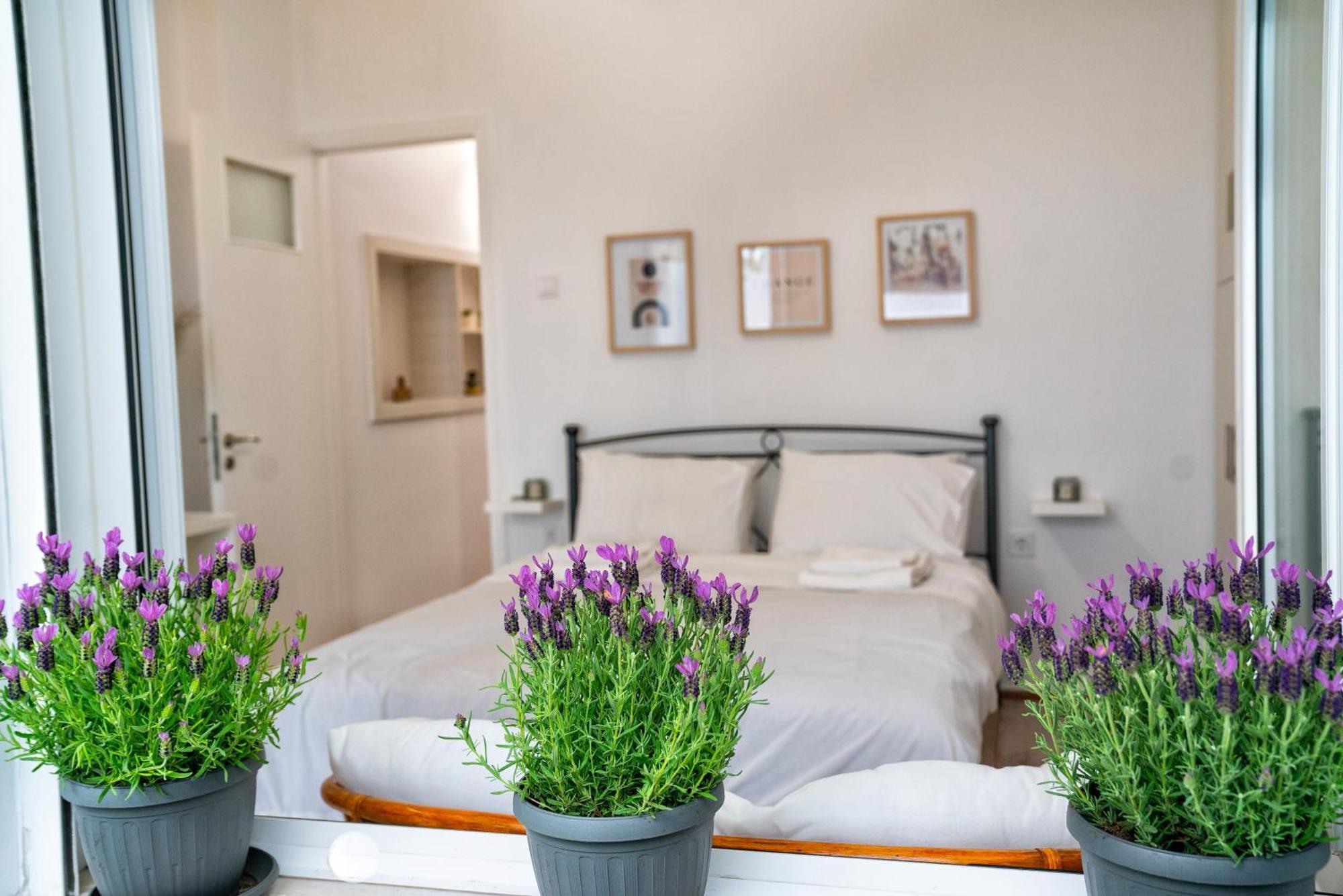 Lux Garden Apartment Near Acropolis In The Heart Of Афіни Екстер'єр фото